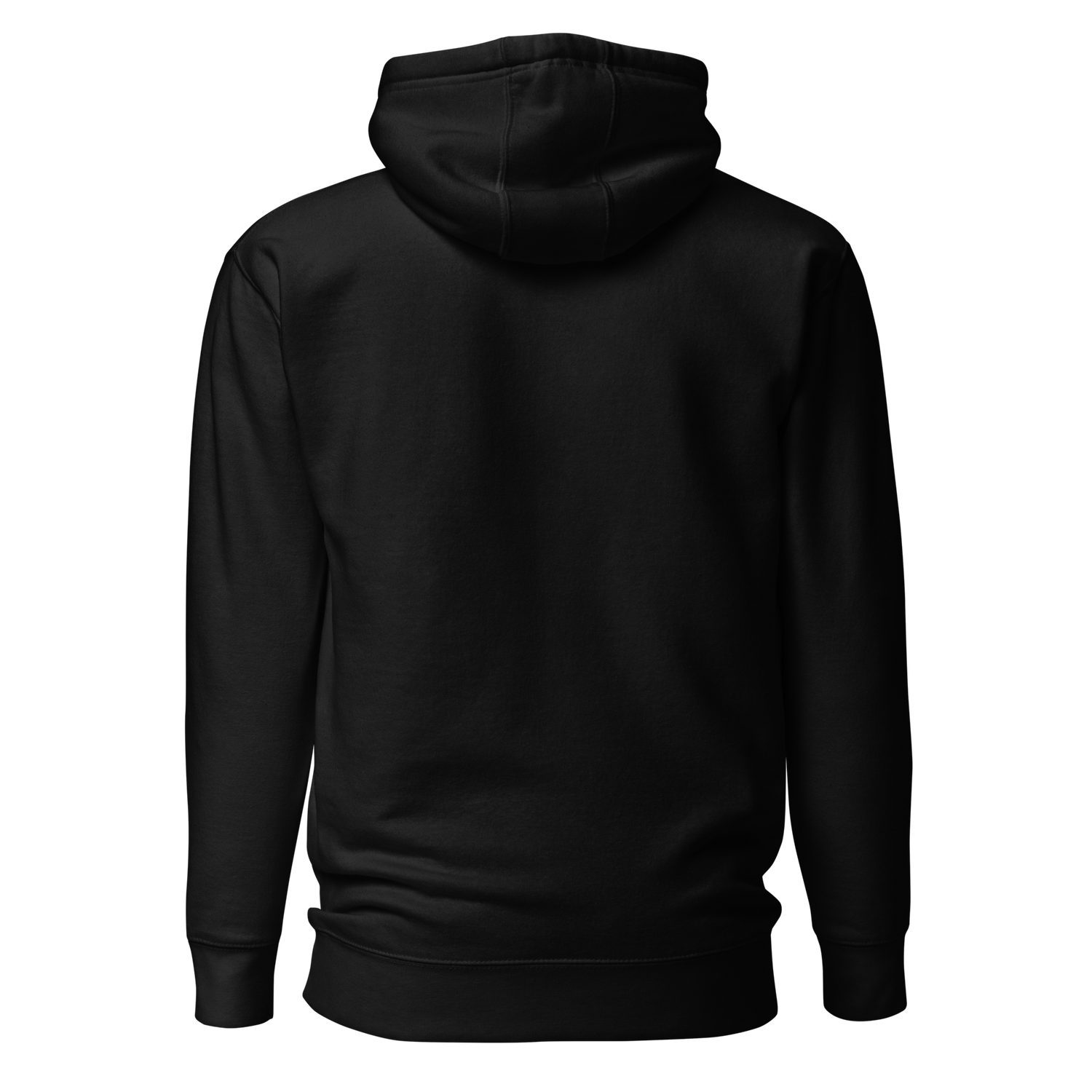 unisex-premium-hoodie-black-back-67ac898719db0.png__PID:1e18f17f-d4a6-4c64-829d-f03a504a1f6c